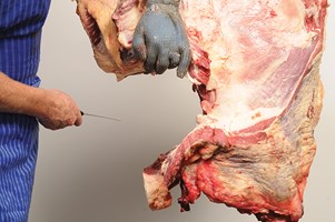 Neck and Chuck Eye bone in Meat Cut Spec Step 3